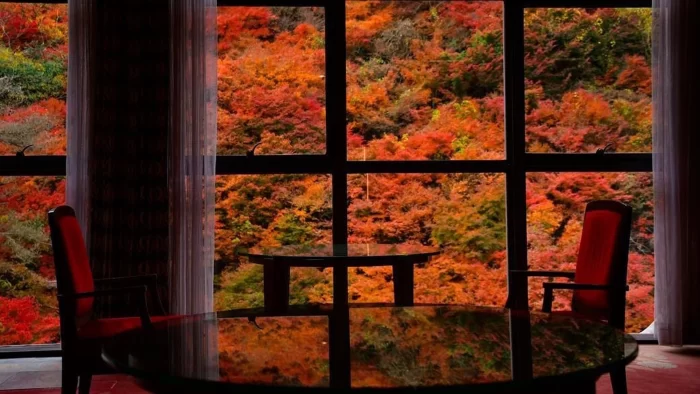 【秋】幻想的な紅葉景色に酔いしれて。アートのような景色をお楽しみ