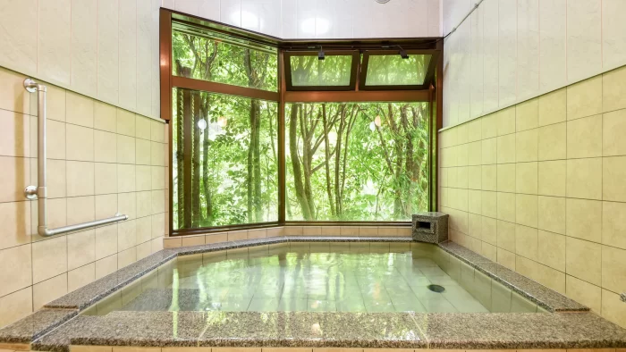 日本三美人の湯「龍神温泉」★良質な温泉でお肌がスベスベに