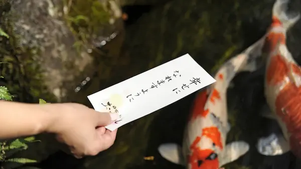 【想い紙】池に“想い紙”を浮かべる。天然素材のため、鯉が集まってきても大丈夫(^^)